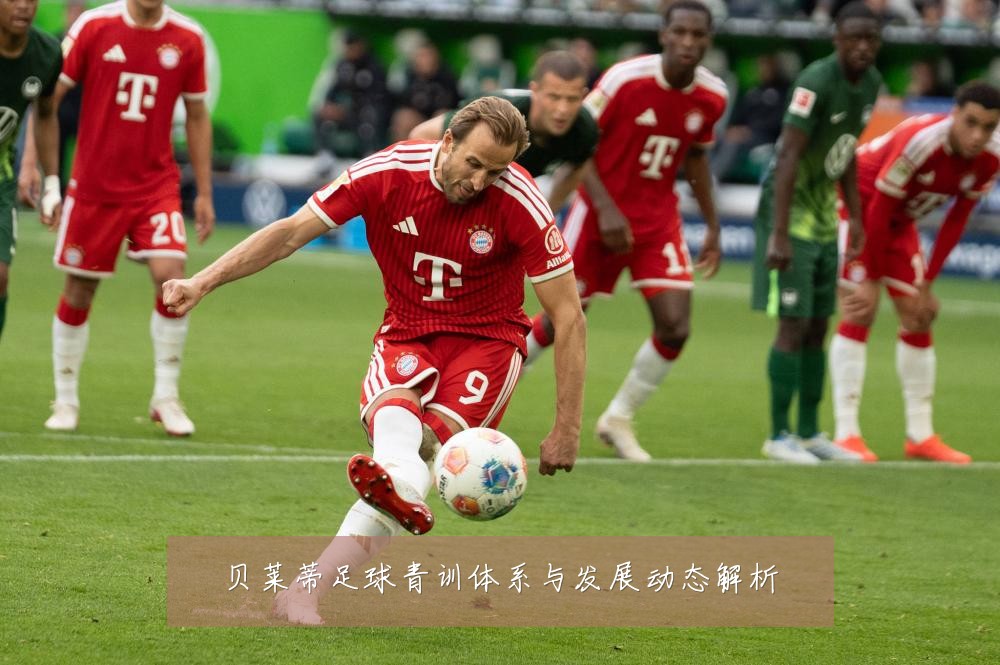 贝莱蒂足球青训体系与发展动态解析